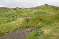 
DSC00143
